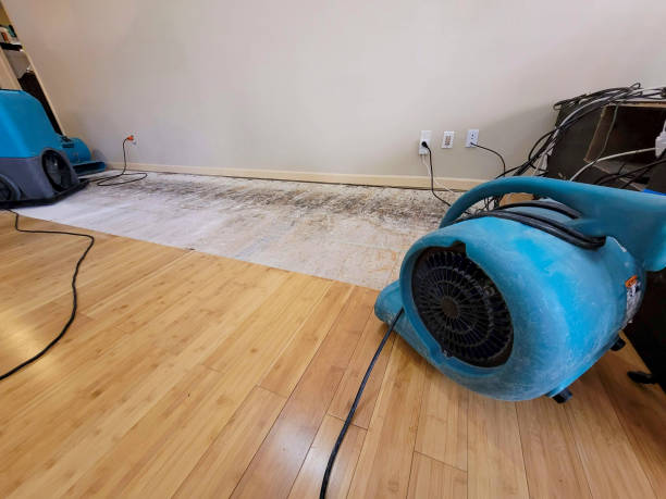 Professional Water Damage Repair technician working in Tarentum, PA